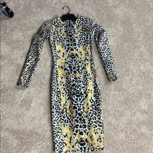 Zara cheetah print dress.